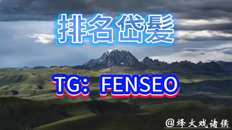 世界杯买球平台哪个更正规